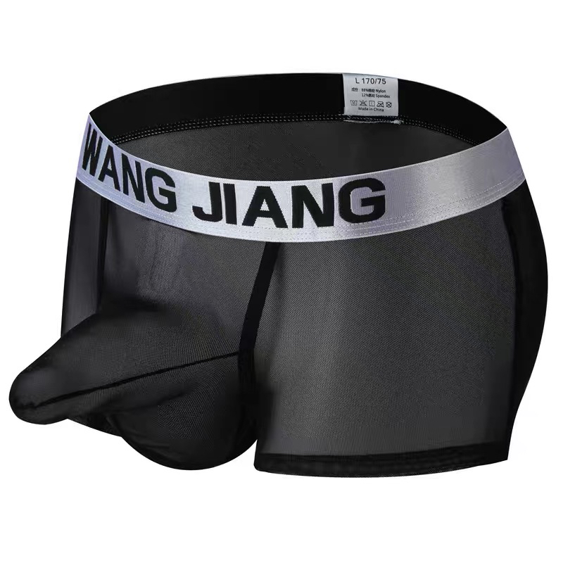 Quick Dry Underwear - IJs Zijde Eierscheiding Heren Ondergoed Ultradun