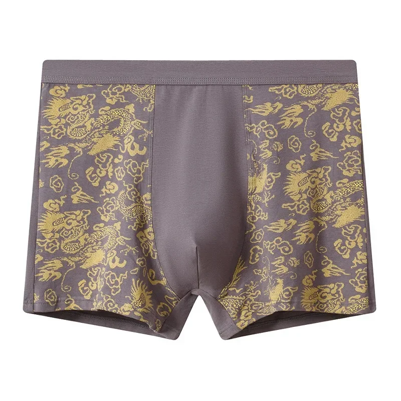Puur Katoen Boxers Mannen Plus - Boxer Brief Pack Cotton recensie en prijs