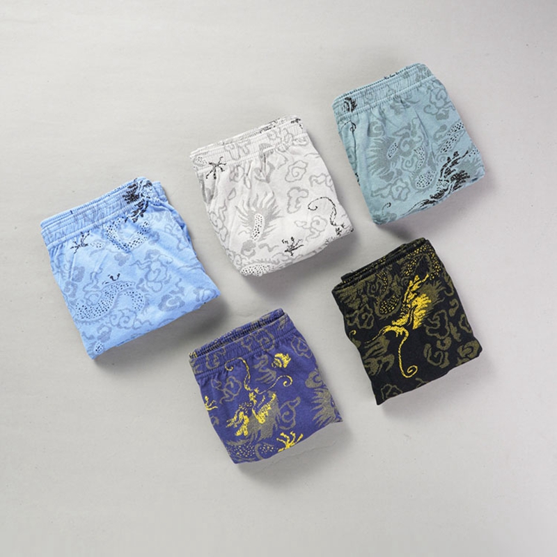 10 stks/partij 100% Katoen her - Multi Pack Underwear recensie en prijs