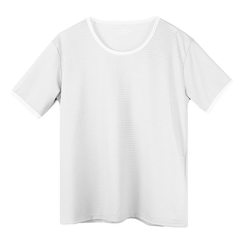 Naadloos heren-T-shirt van ijs - Undershirt Crew Neck recensie en prijs